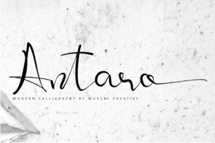 Antaro Font: Elevate Your Brand Identity