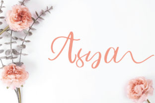 Asya Font: Elegant Script for Handmade Brands