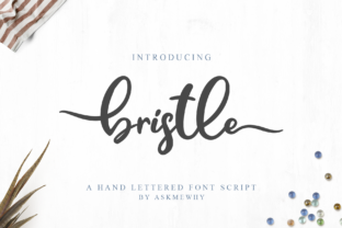 Bristle Font: Elevate Your Brand Visuals