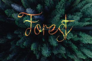 Forest Font: Elevate Your Campaign Visuals