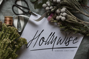 Hollywise: A Script Font for Scroll-Stopping Designs