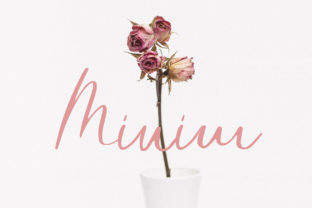 Minim: A Minimal Script Font for Modern Branding