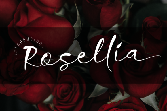 Rosellia: A Sharp Script Font for Brand Identity