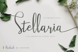 Stellaria: A Designer’s Honest Review